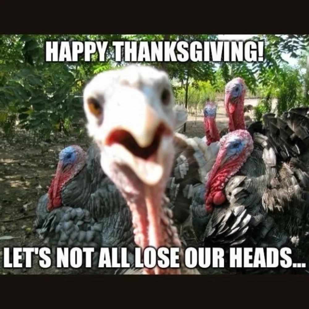 TY ALL 4 ANOTHER GREAT EVENT! SEE U NXT TIME! Happy 🦃 day! 💕 - Picture 10 of 10